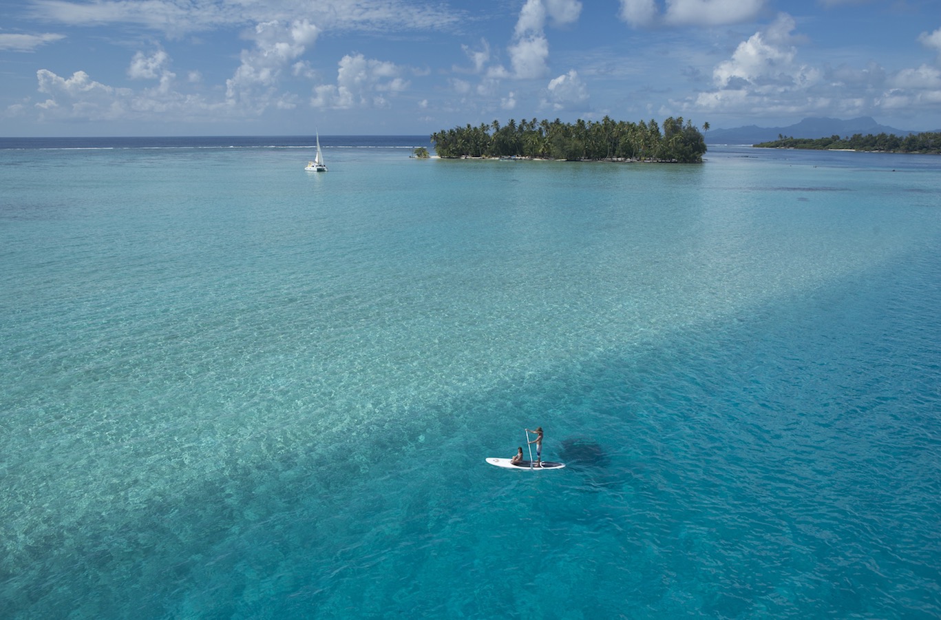 tahiti ferien urlaub tierwelt pflanzenwelt temperaturen wassertemperaturen meer sandstrand reise tierwelt