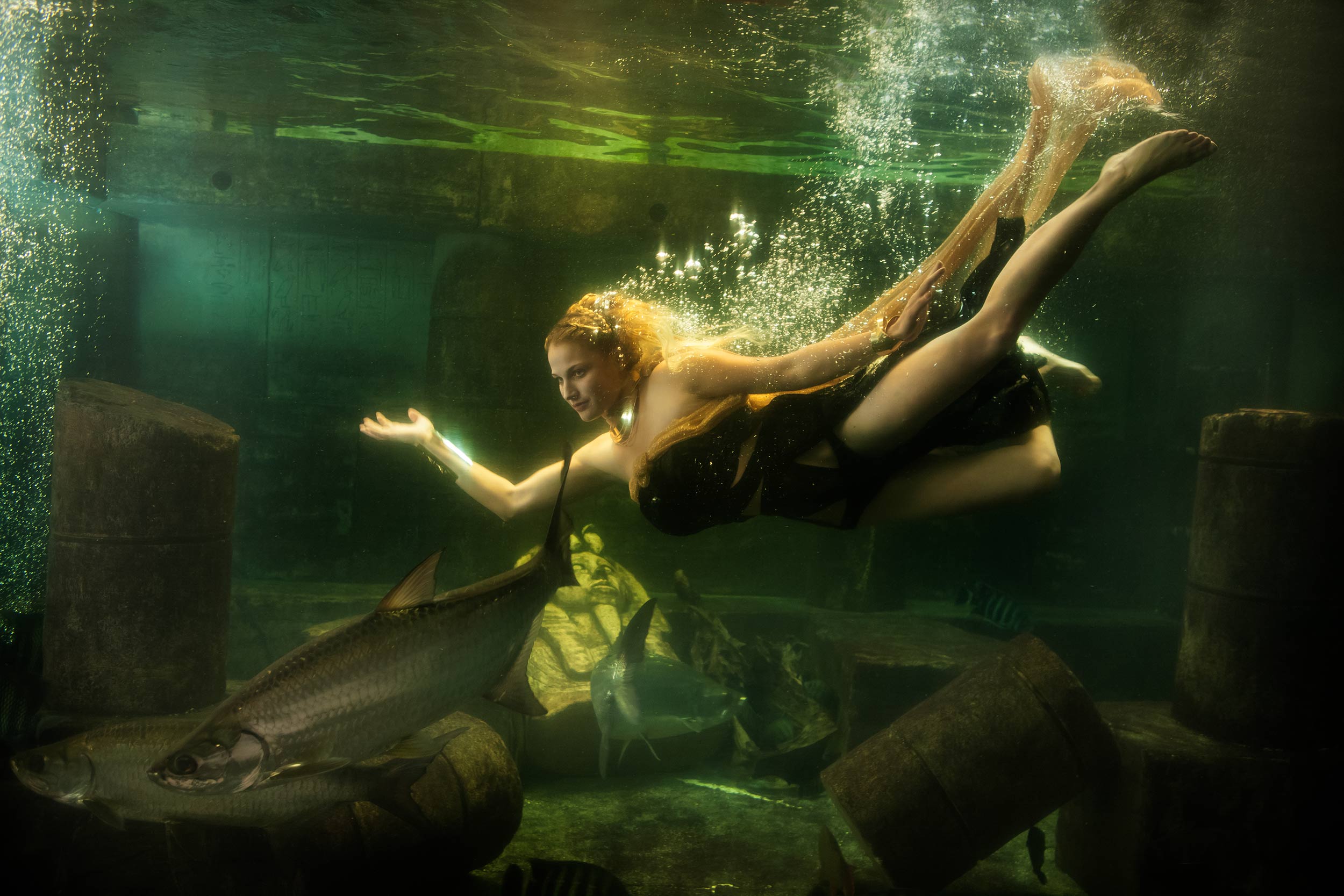 unterwasser unter wasser fotografie fotografieren fotos aufnahmen fotograf schweiz schweizer peter hofstetter
