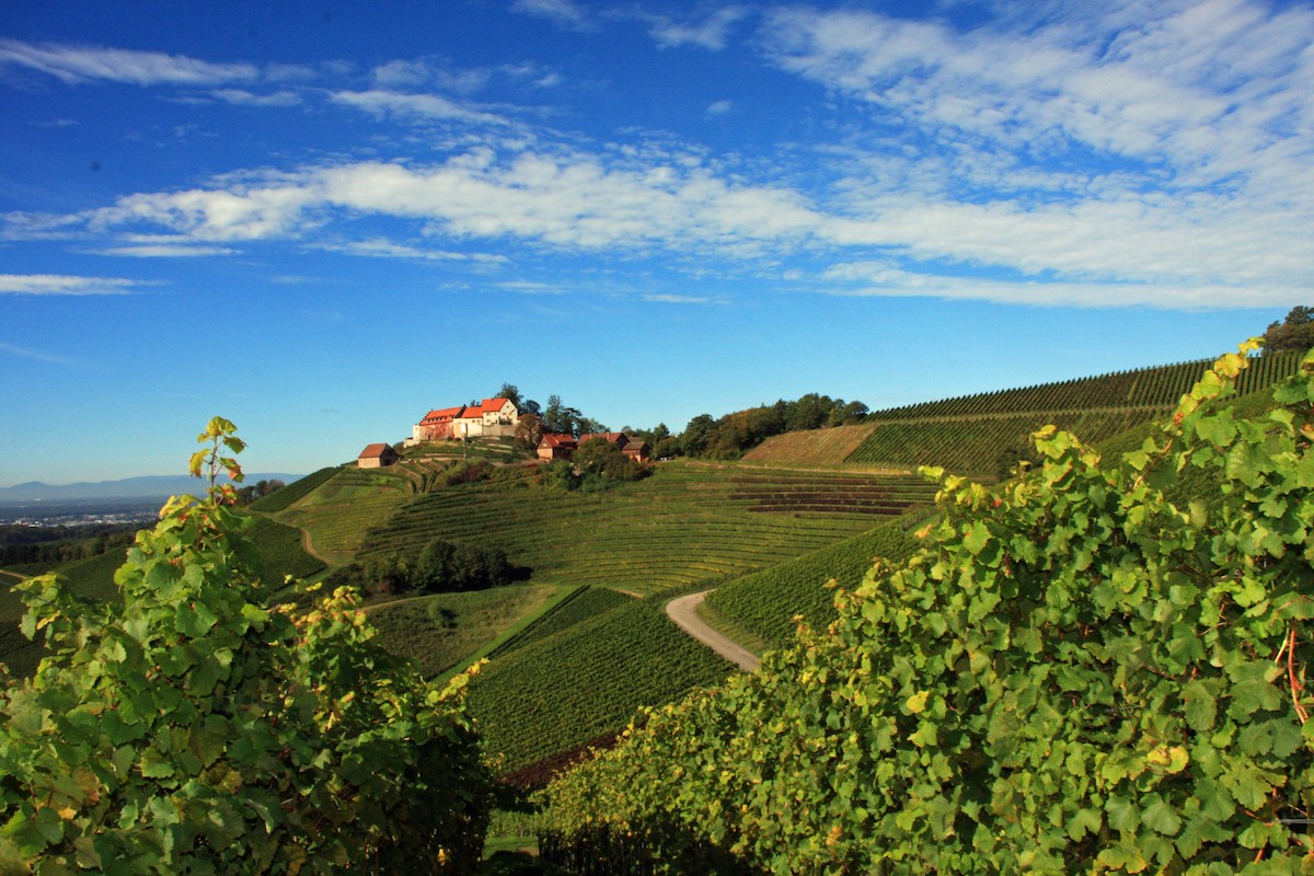 schlosshotel luxushotel deutschland schwarzwald wein gourmet-restaurant weinbau wellness sport guide michelin