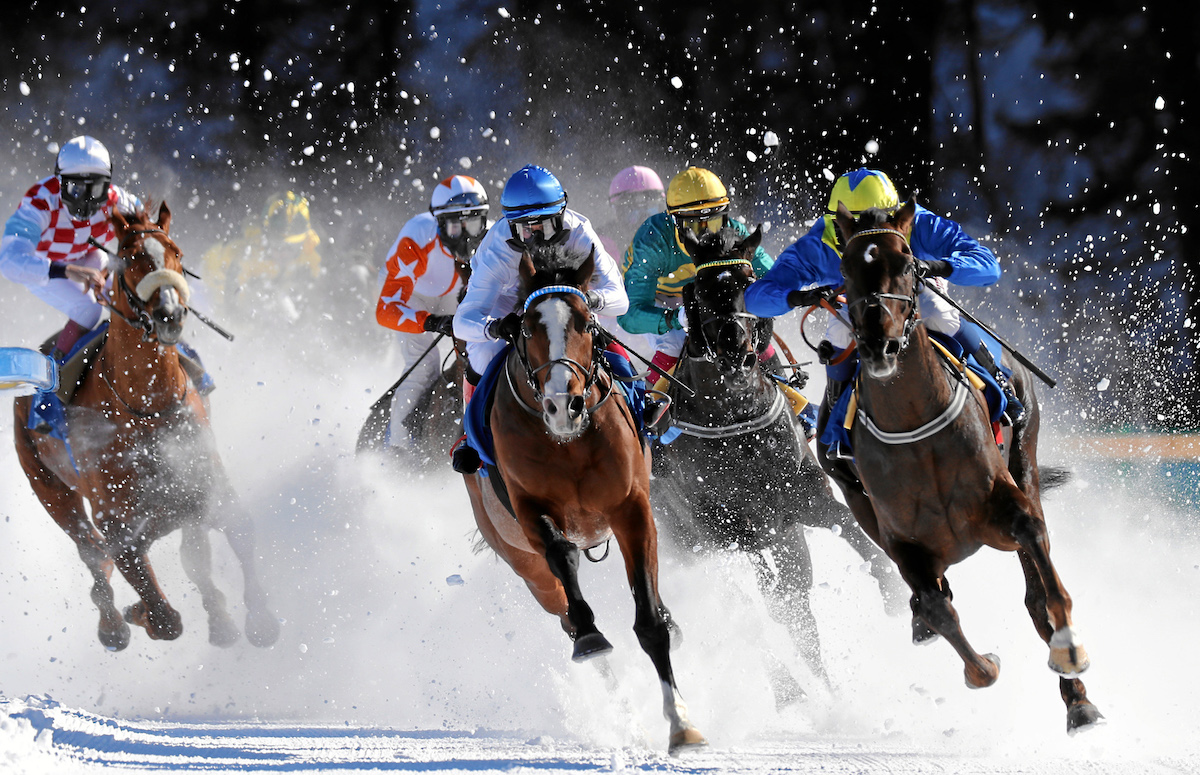 white turf st. moritz 2018 pferderennen auf schnee winter pferde events schweiz pferderennsport deutschland
