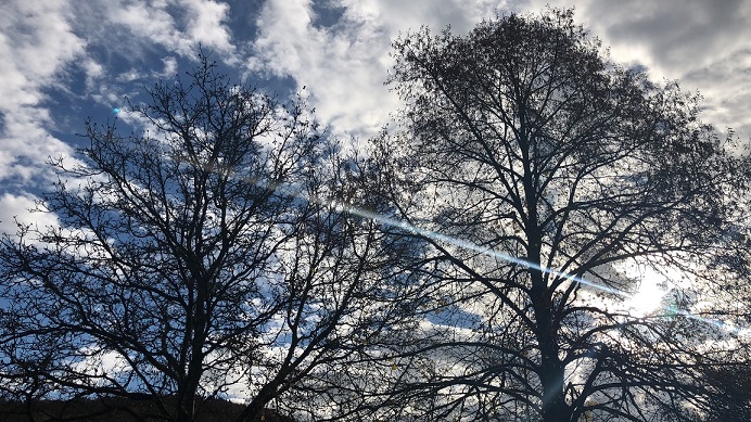 waldbaden mit Spiroyal