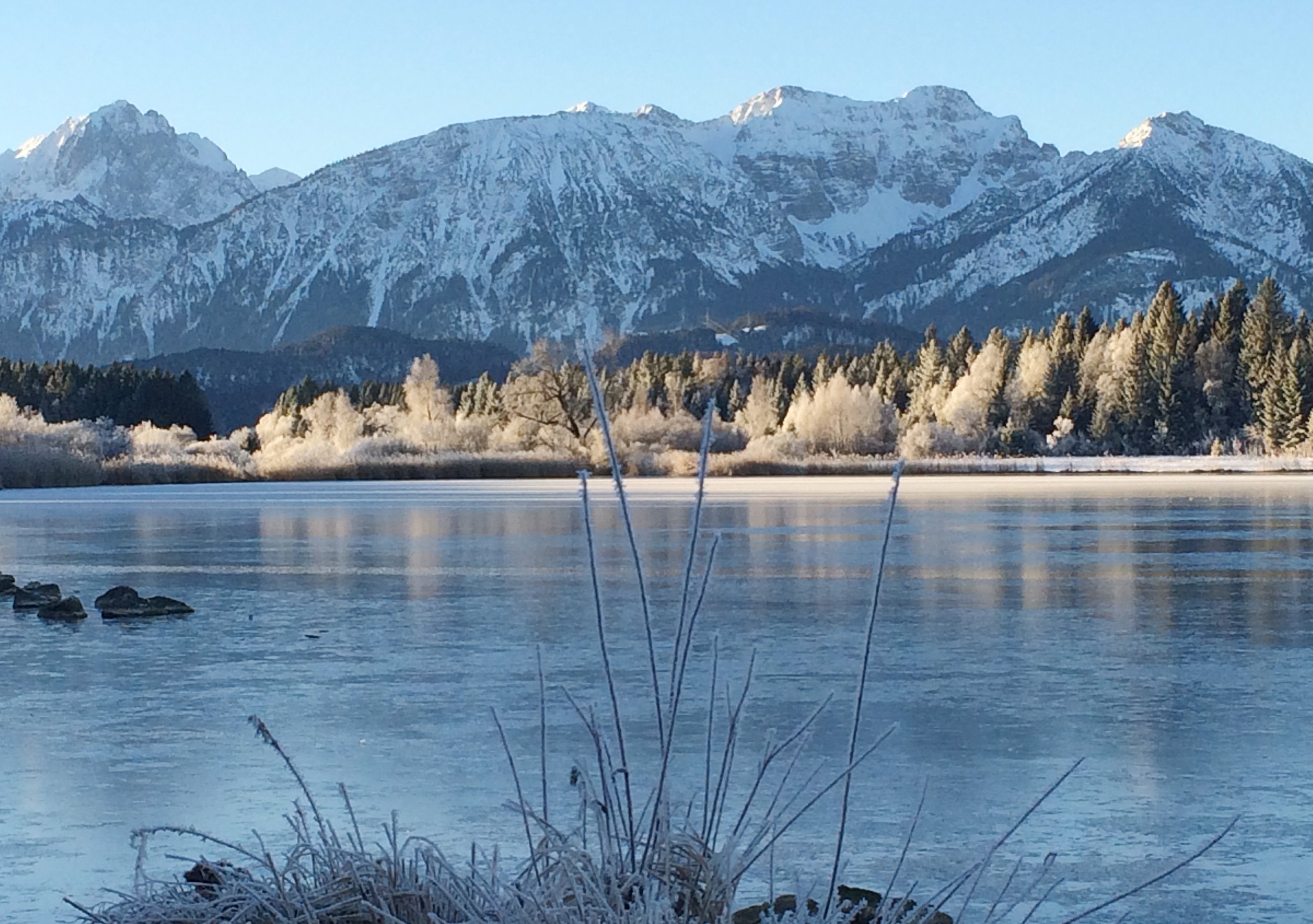 Dem Grauschleier entfliehen