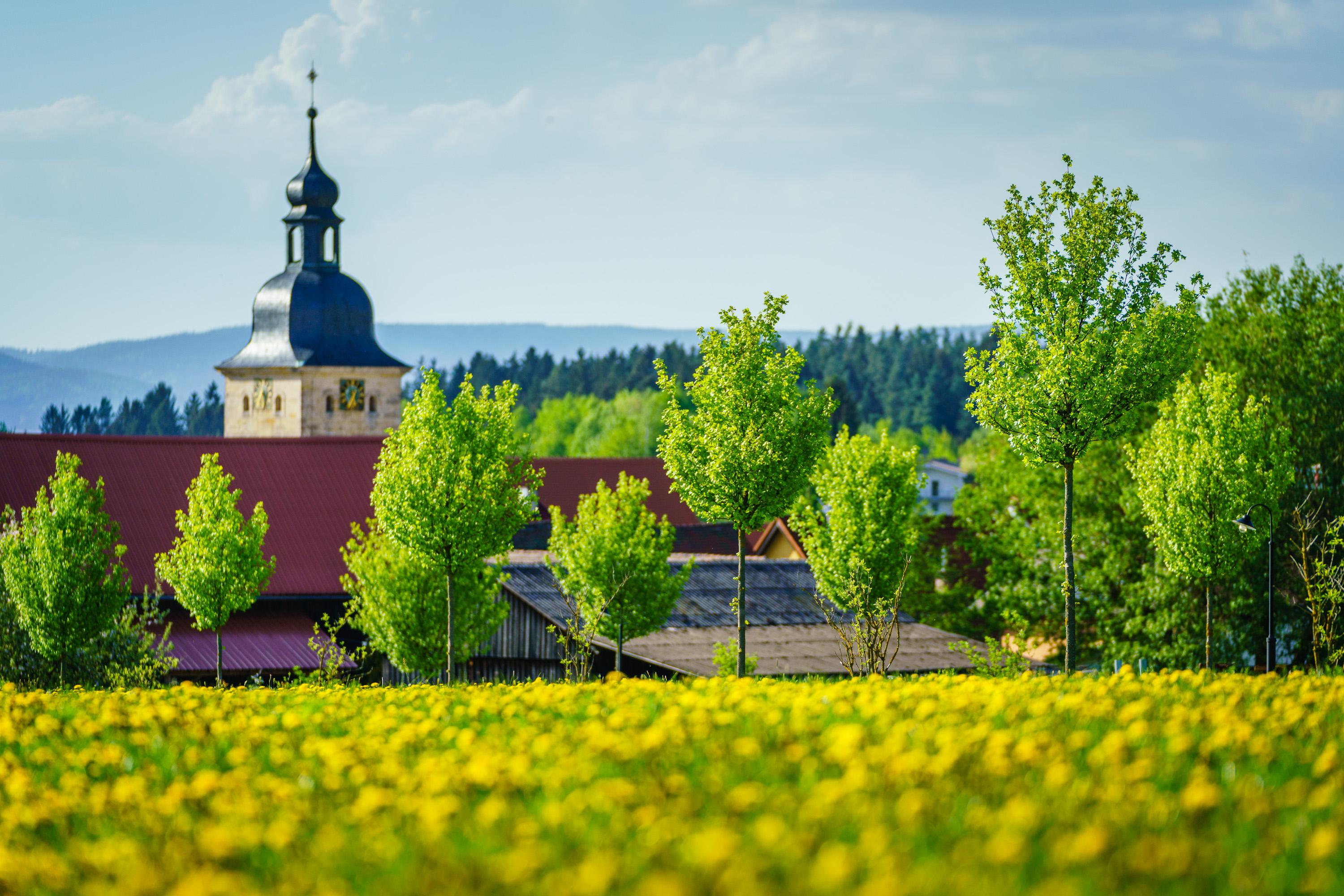 Natururlaub im Dorf in Waldeck