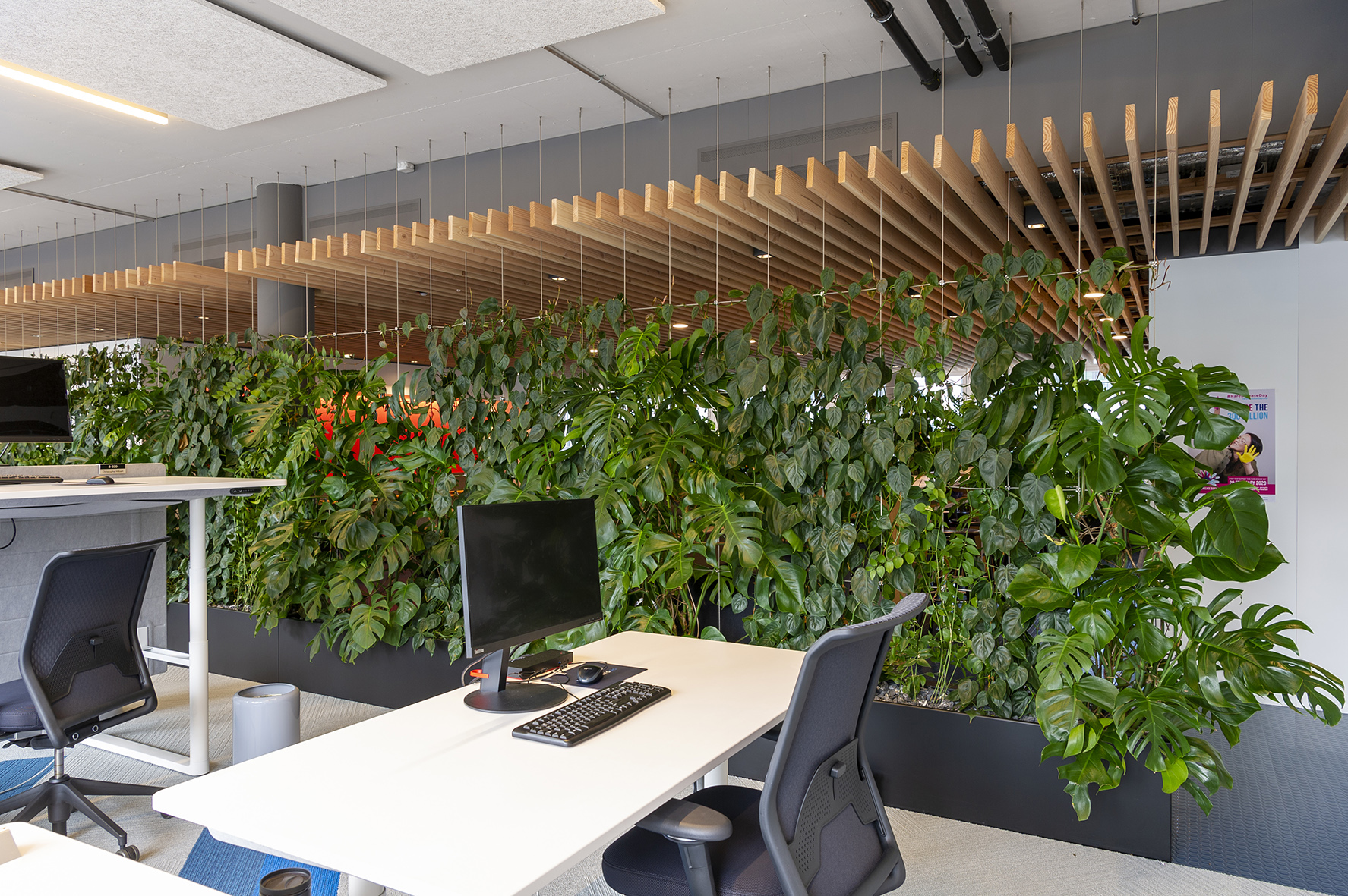 Grün von Hydroplant belebt das Büro